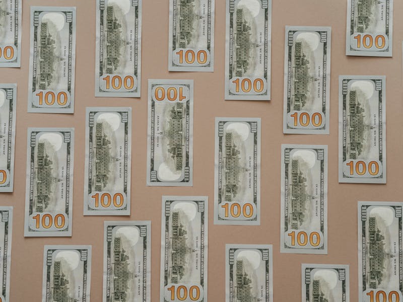 **Zarađivanje Novca Od Vrtlarstva: Savjeti Za Profitabilno Sađenje U Bašti** - Fourth Image