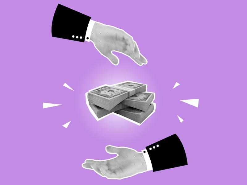 **Kako Profitirati od Baštovanstva: 7 Efikasnih Načina da Započnete Sađenje u Bašti i Zaberete Novac** - Fourth Image