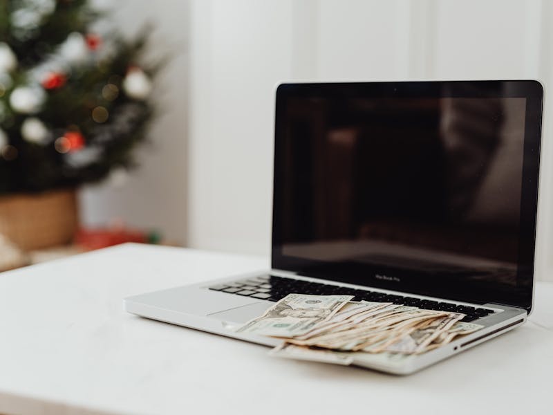 **Zaradite Novac Od Sađenja U Bašti: Vodič Za Uspješno Uzgajanje i Prodaju Biljaka** - Third Image