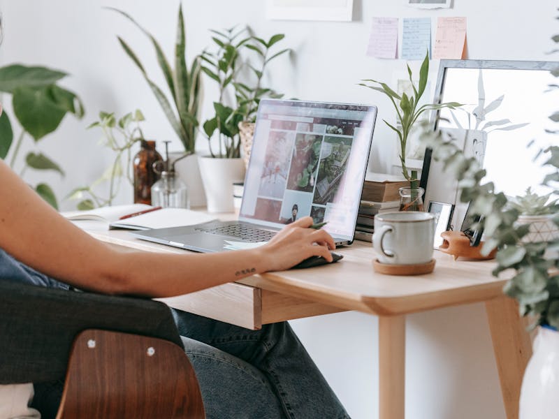 ** Kako Osvježiti Svoj Dom i Dvorište Uzimajući Inspiraciju iz Prirode** - Third Image