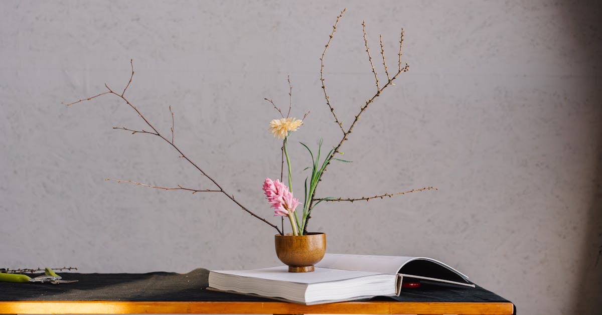 Zen Dizajn: Kako Urediti Enterijer za Srećniji i Harmoničniji Dom