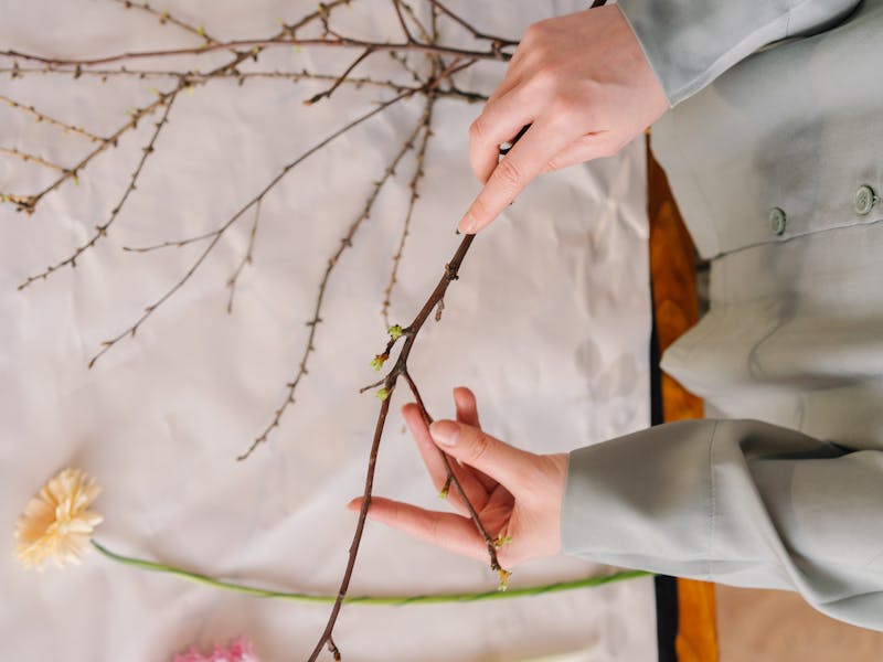 **Proljetne DIY Ideje za Kreativnost: Osvježite Svoj Dom Ovom Sezonom** - Fourth Image