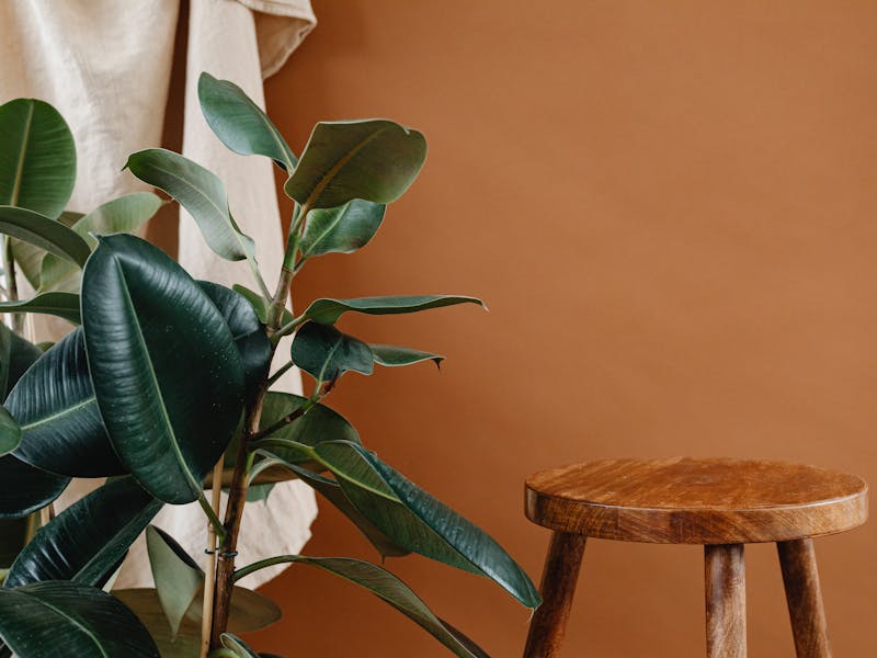 **Top 5 Paleta Boja za Zagrijavanje Vašeg Doma: Savjeti za Udoban Interijer** - Fourth Image