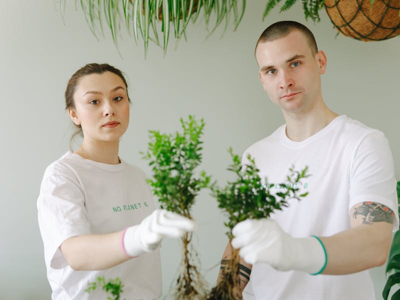 **Kada i Kako Pravilno Saditi Biljke: Vodič za Uspješno Vrtlarstvo** - Second Image