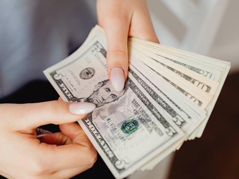 **Zaradite Novac Od Sađenja U Bašti: Vodič Za Uspješno Uzgajanje i Prodaju Biljaka** - Second Image