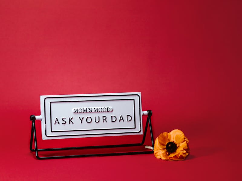 **Savjeti za Uređenje Doma: Transformišite Prostor s Ovim Dizajnerskim Idejama** - Fourth Image