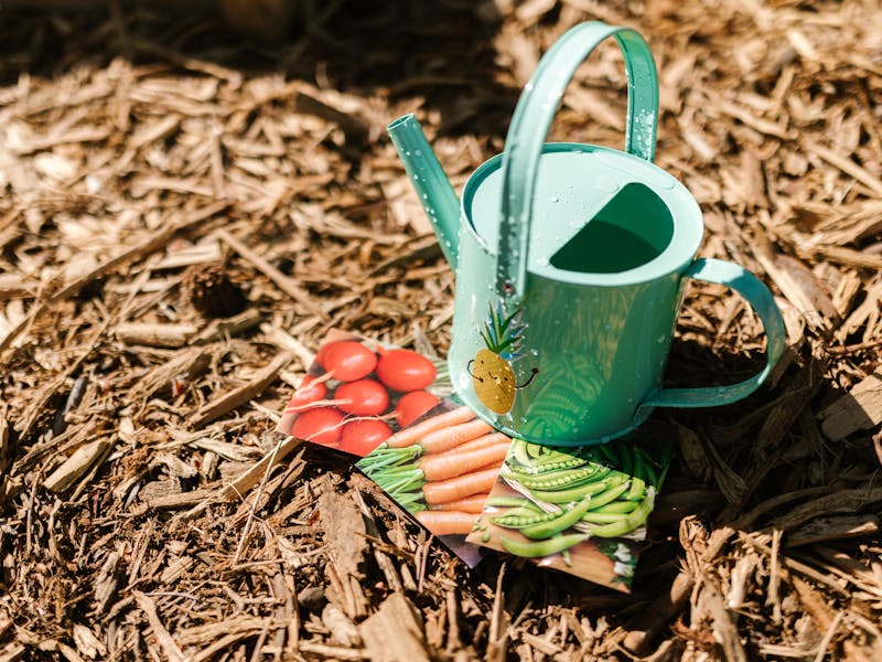 **Proljetne Ideje za Baštu: Kako Unaprijediti Vanjski Prostor i Uživati u Prirodi** - Third Image
