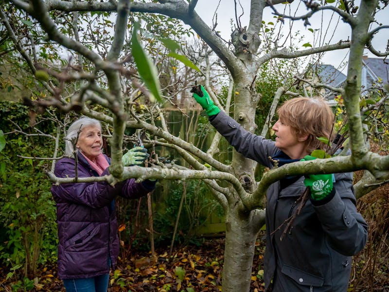 ** Savjeti za Uspješnu Pripremu Vrta i Bašte: Šta Posaditi Ove Godine?** - Second Image