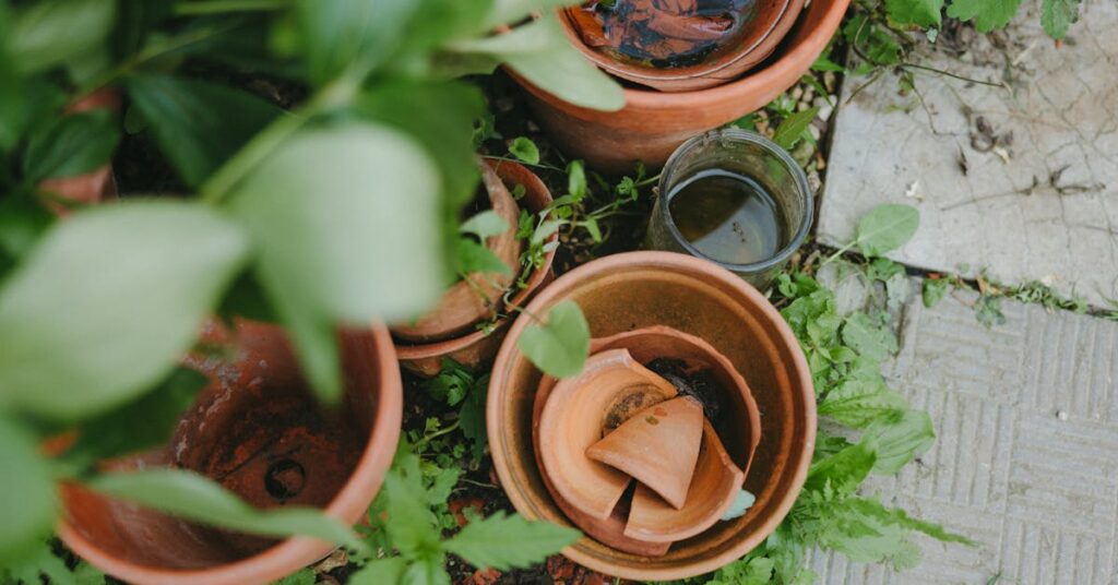 pexels-photo-8890065