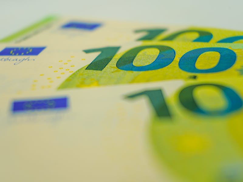 **Kako Profitirati od Baštovanstva: 7 Efikasnih Načina da Započnete Sađenje u Bašti i Zaberete Novac** - Third Image