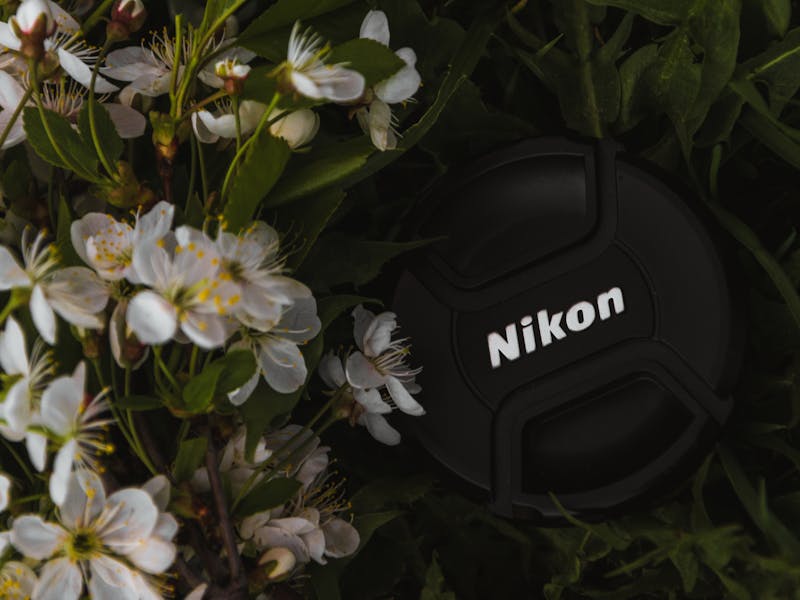 ** Prvi Koraci u Vrtlarstvu: Šta Posaditi Prvo - Voće ili Povrće za Početnike** - Third Image