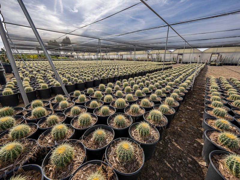 **Kada i Kako Pravilno Posaditi Biljke: Vodič za Uspješan Vrt** - Third Image