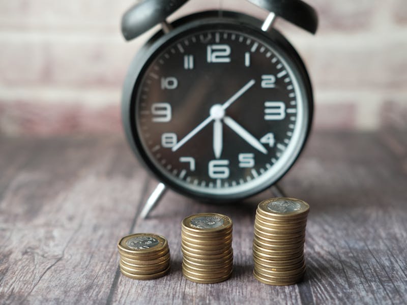 ** Kako Zaraditi Novac od Baštovanstva: 8 Učinkovitih Strategija za Monetizaciju Vaše Bašte** - Fourth Image