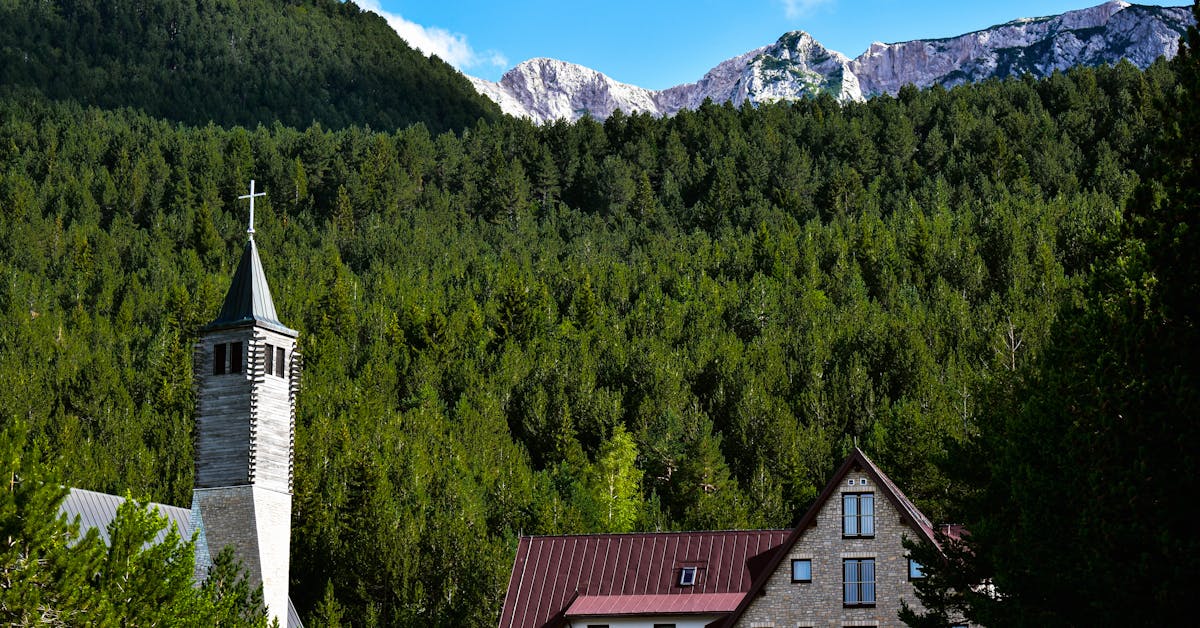 Kada i Kako Pravilno Posaditi Biljke: Vodič za Uspješan Vrt u Bosni i Hercegovini