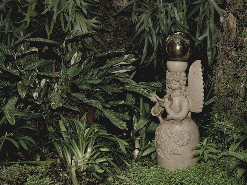 **Savjeti za Uređenje Vrta: Kako Stvoriti Raj u Vašoj Bašti** - Second Image