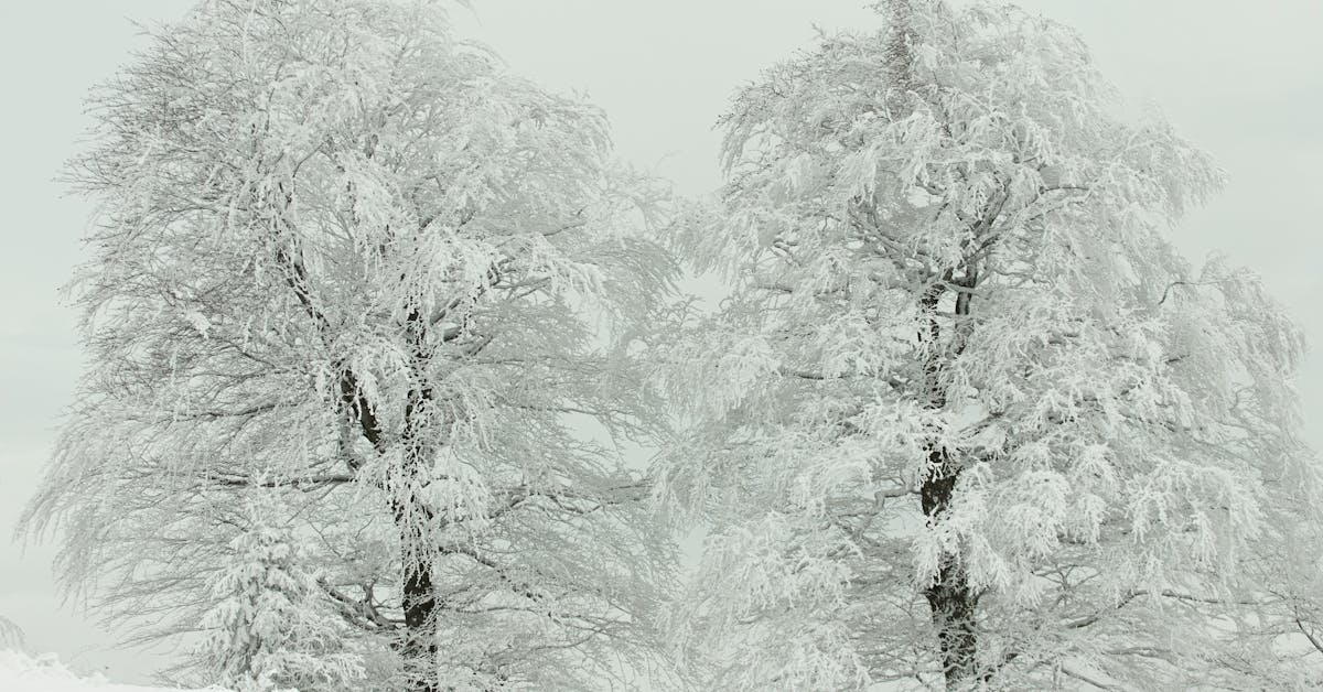 Inspiracija za Vaše Projektne Avanture u Bosni i Hercegovini