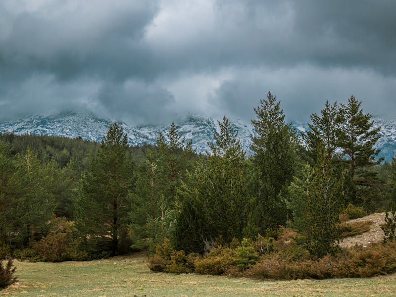 **Kada i Kako Pravilno Posaditi Biljke: Vodič za Vrtlarstvo u Bosni i Hercegovini** - Third Image