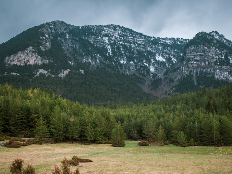 **Kada i Kako Pravilno Posaditi Biljke: Vodič za Vrtlarstvo u Bosni i Hercegovini** - Fourth Image