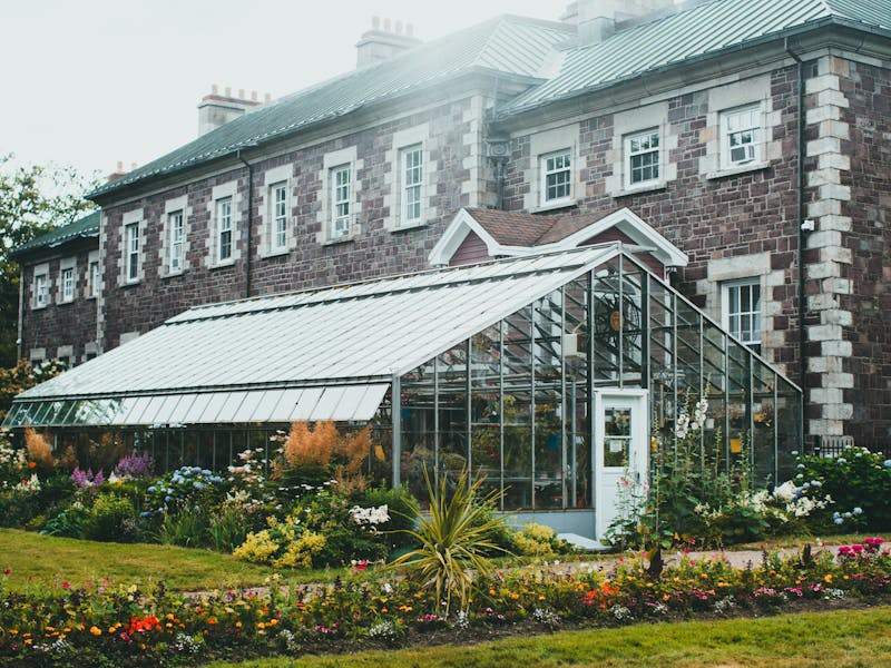 **Najbolje Biljke za Sadnju u Vrtu i Bašti Ove Godine: Praktični Savjeti za Uspješan Uzgoj** - Third Image