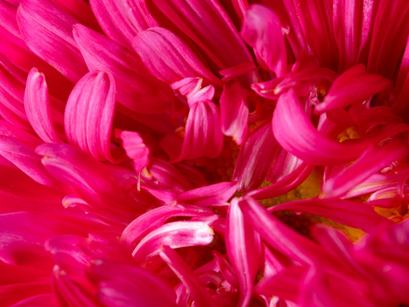 **Proljetne Ideje za Uređenje Bašte: Savjeti za Savršen Vrt** - Third Image