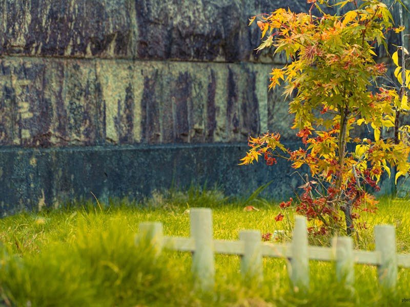 **Savjeti za Uređenje Vrtova i Bašti: Kako Postići Plodnost i Ljepotu** - Third Image