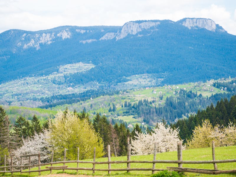 **Kada i Kako Pravilno Posaditi Biljke: Vodič za Vrtlarstvo u Bosni i Hercegovini** - Second Image