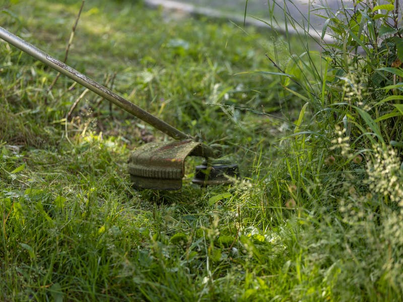 **Najbolji Savjeti za Održavanje Vrtova i Bašta: Stvaranje Zdravog i Produktivnog Prostor** - Third Image