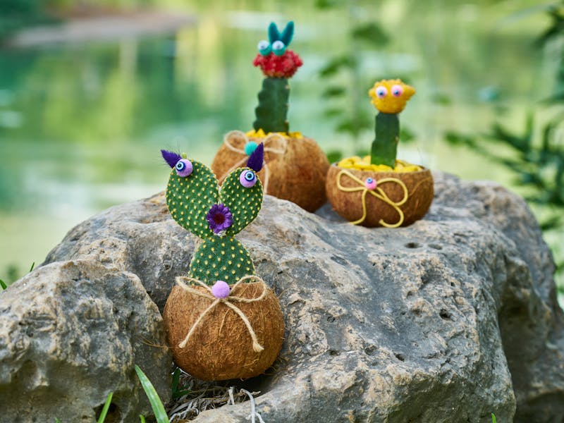 **10 Kreativnih Ideja za Proljetno Uređenje Bašte: Uživajte u Prirodi i Berbi** - Second Image