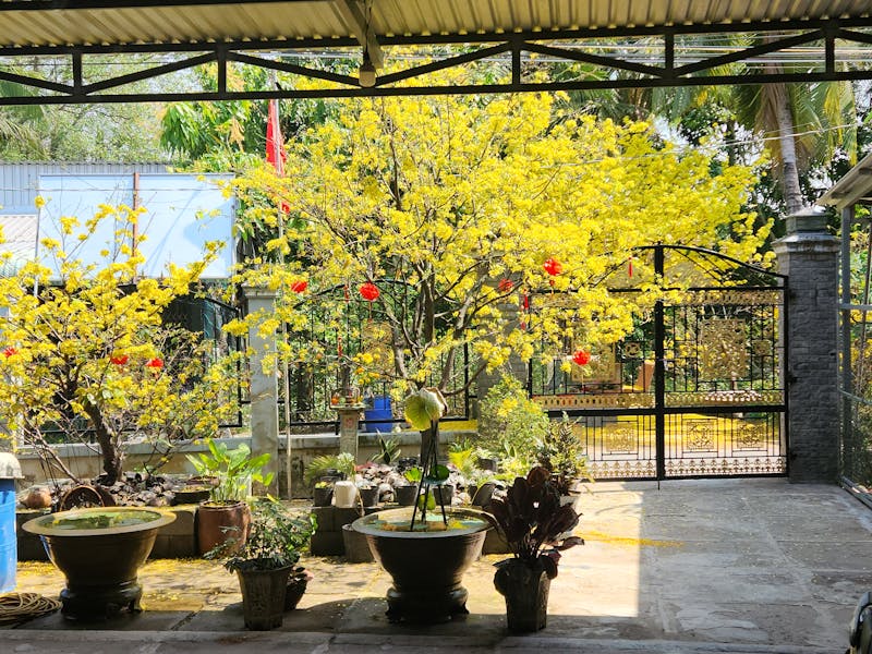 **Najbolje Biljke za Sadnju u Vašem Vrtu i Bašti Ove Godine: Savjeti za Uspješnu Sezonu** - Fourth Image