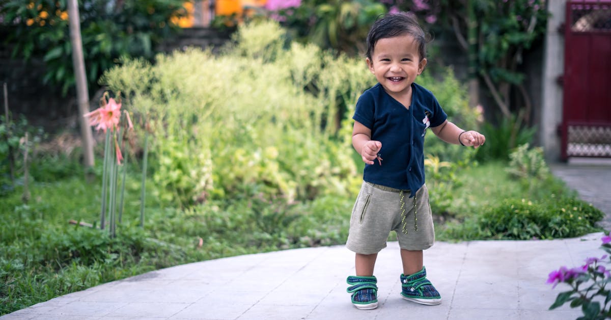 Prvi Koraci u Vrtlarstvu: Koje Voće ili Povrće Prvo Posaditi – Vodič za Početnike