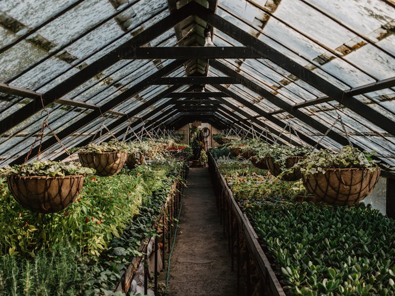 **Kada i Kako Pravilno Saditi Biljke: Vodič za Uspješan Vrt** - Fourth Image