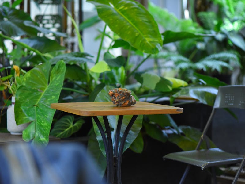 **Uređenje Doma za Dobar Zen: Stvaranje Pozitivne Energije i Oaze Mira** - Third Image