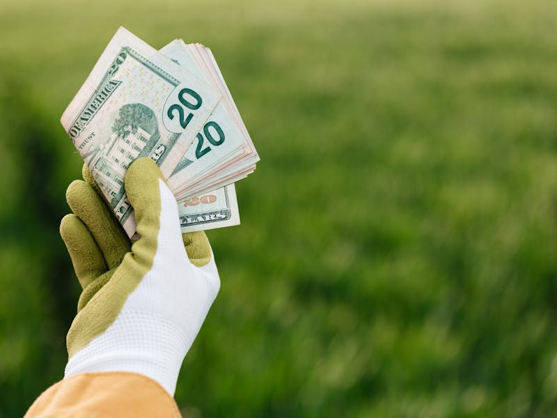 **Zaradite Novac Uzgojem Biljaka: Vodič za Uspješan Vrt i Dodatni Prihod** - Second Image