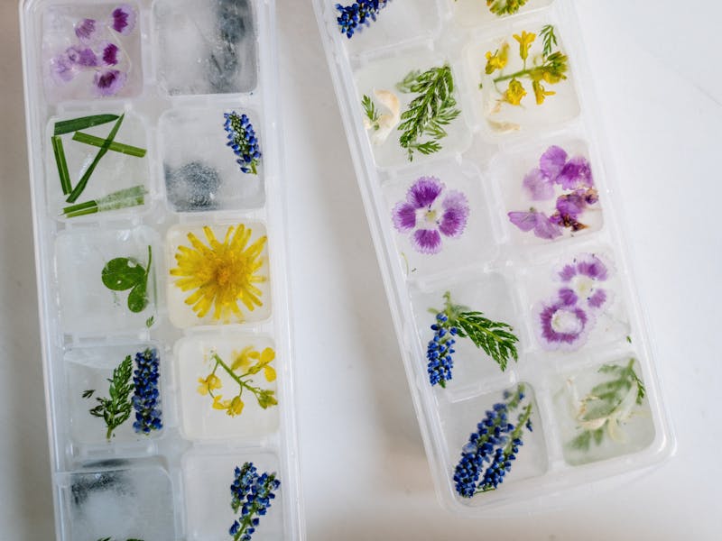 **Proljetne DIY Ideje za Osvježavanje Doma i Vrta: Kreativni Savjeti za Svježinu** - Second Image