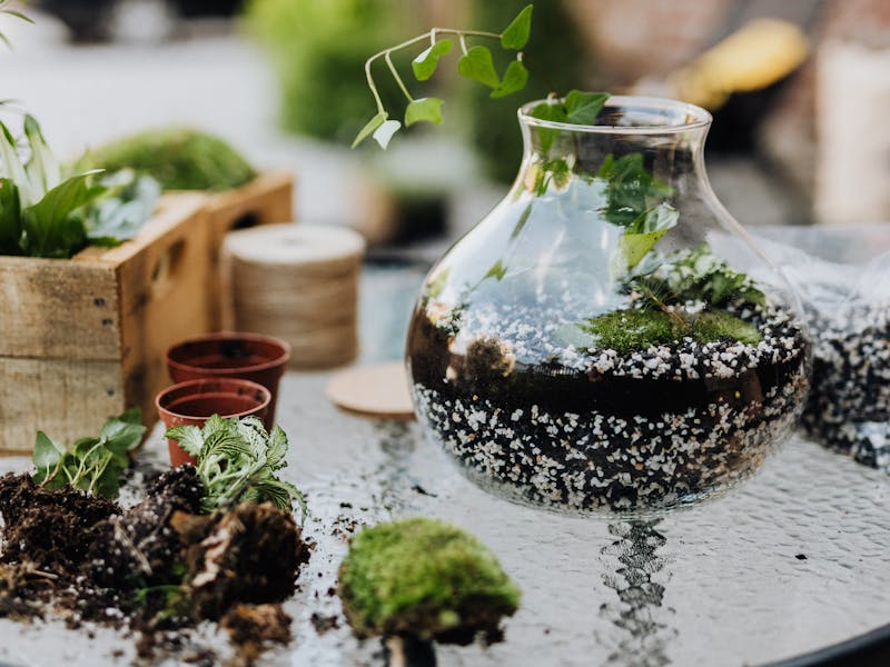 **Uređenje Doma Uz Mali Budžet: Kreativni Savjeti i DIY Ideje za Svaki Džep** - Third Image