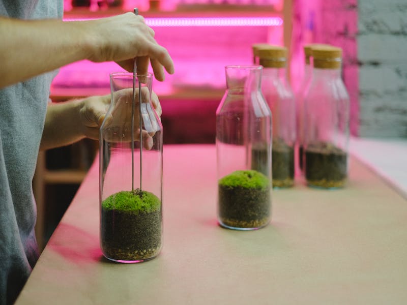 **  Kreativni DIY Projekti za Uređenje Doma i Vrtova** - Third Image