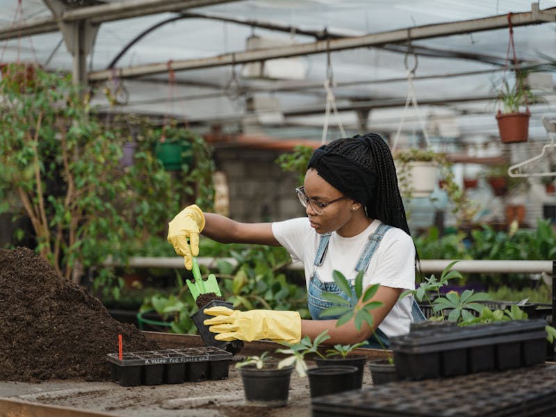 ** Kako Pripremiti Vrt i Baštu: Najbolje Biljke za Sadnju Ove Godine** - Third Image