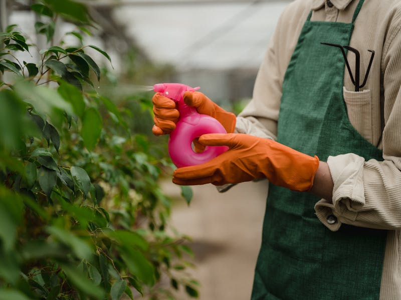 **Kada i Kako Pravilno Saditi Biljke: Vodič za Uspješan Rast i Održavanje** - Second Image