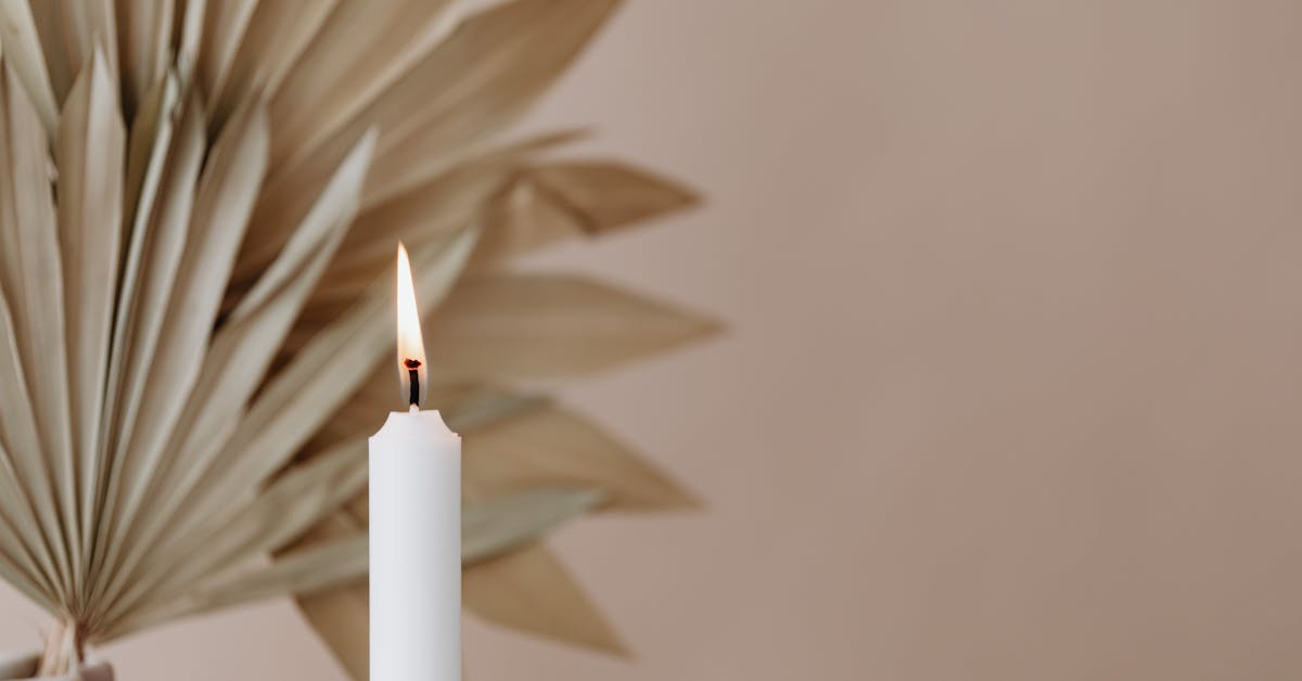 Zen Dizajn Enterijera: Stvaranje Srećnijeg Doma kroz Minimalizam i Prirodne Elementa