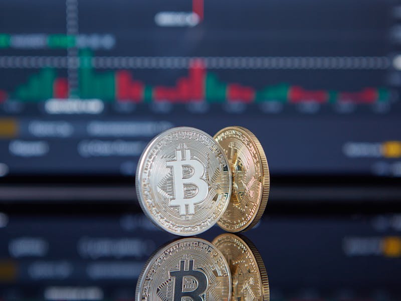 ** Kako Zaraditi Novac Od Baštovanstva: 8 Učinkovitih Strategija za Profitabilno Sađenje** - Second Image