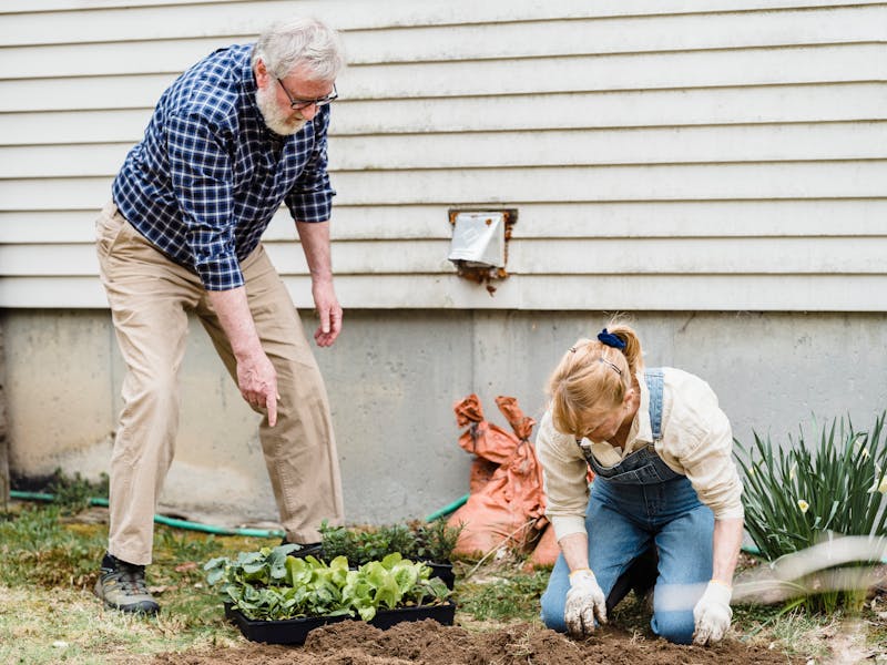 ** Priprema Vrta i Bašte: Najbolje Biljke za Sadnju u 2023. Godini** - Fourth Image