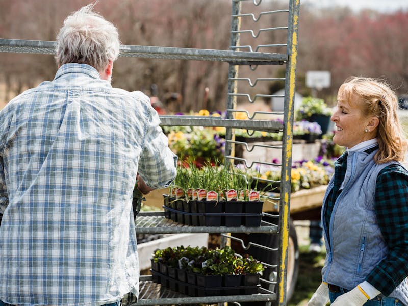 **Kako Zaraditi Novac Od Baštovanstva: Vodič za Uspješno Uzgajanje i Prodaju Biljaka** - Third Image