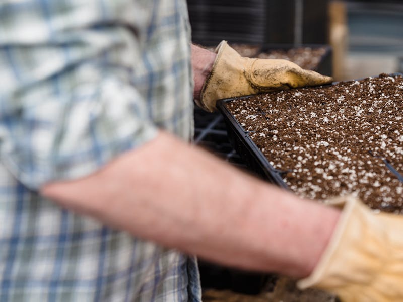 **Pripreme Vrtova i Bašta: Najbolje Biljke za Sadnju u 2023. Godini** - Third Image