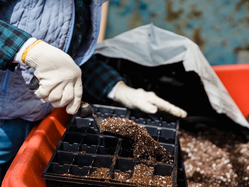 **Savjeti za Početnike: Šta Prvo Posaditi u Vrtu - Voće i Povrće za Uspješan Uzgoj** - Fourth Image