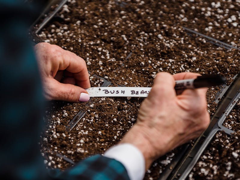 **Proljetne Ideje za Uređenje Bašte: Transformišite Svoj Vanjski Prostor s Praktičnim Savjetima** - Third Image