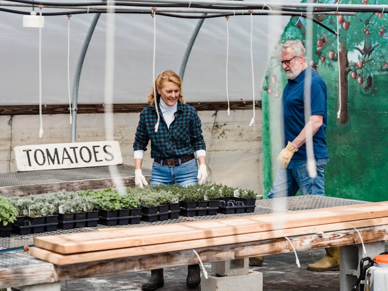 **Kako Započeti Vlastitu Baštu: Najbolje Voće i Povrće za Početnike** - Third Image