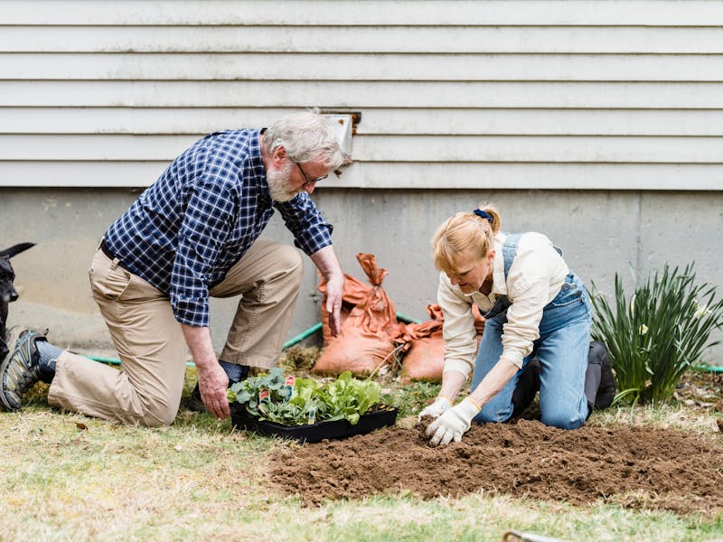 ** Priprema Vrta i Bašte: Najbolje Biljke za Sadnju u 2023. Godini** - Third Image
