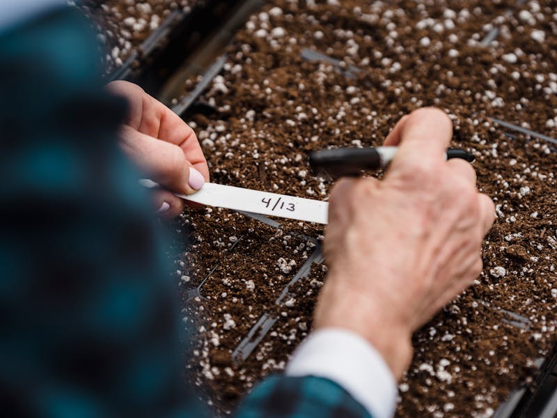 **Najbolje Biljke za Sadnju u 2023: Priprema Vašeg Vrta i Bašte za Proljeće** - Fourth Image