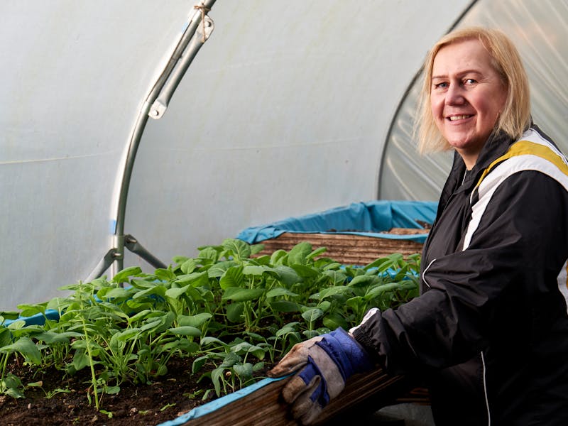 **Optimalan Vrt: Najbolje Biljke za Sadnju u 2023. Godini i Kako Pripremiti Vašu Baštu** - Third Image