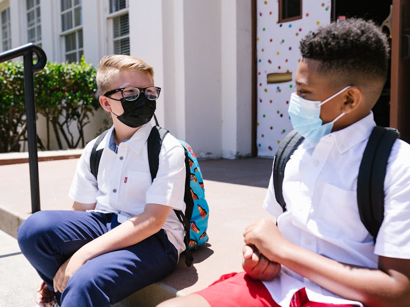 ** Prvi Koraci u Vrtlarstvu: Šta Posaditi Prvo - Voće ili Povrće za Početnike** - Fourth Image